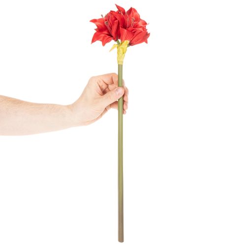 Künstliche Amaryllis in Rot mit Stiel 50cm für Weihnachtsdeko | Floristik24.at