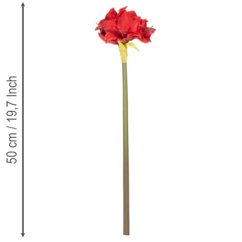 Künstliche Amaryllis in Rot mit Stiel 50cm für Weihnachtsdeko | Floristik24.at