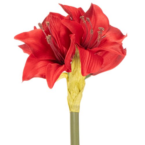 Künstliche Amaryllis in Rot mit Stiel 50cm für Weihnachtsdeko | Floristik24.at