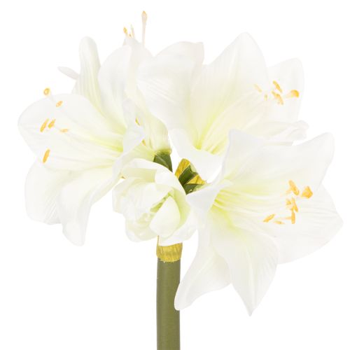 Künstliche Amaryllis Weiß mit Stiel 50cm für Advent und Weihnachten