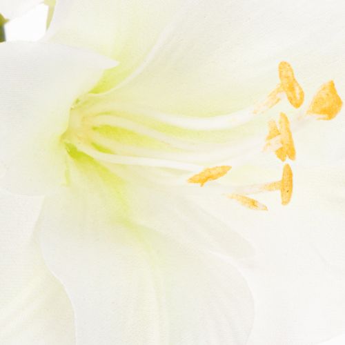 Künstliche Amaryllis Weiß mit Stiel 50cm für Advent und Weihnachten | Floristik24.at