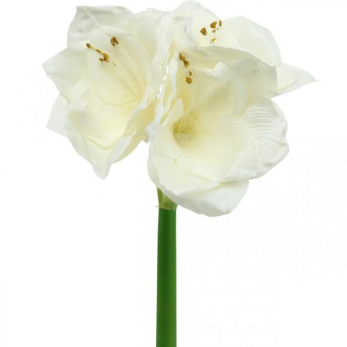 Floristik24 Kunstblume Amaryllis Weiß Ritterstern Weihnachtsdeko H40cm