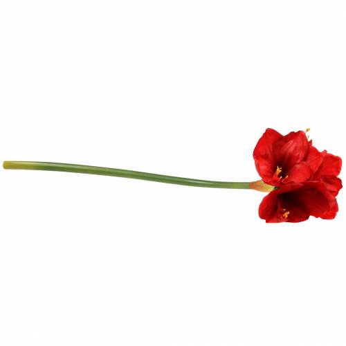Artikel Amaryllis Rot 75cm