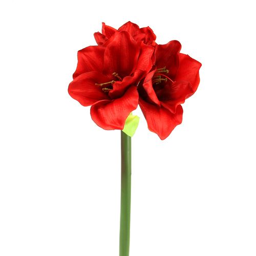 Floristik24 Amaryllis künstlich 60cm rot
