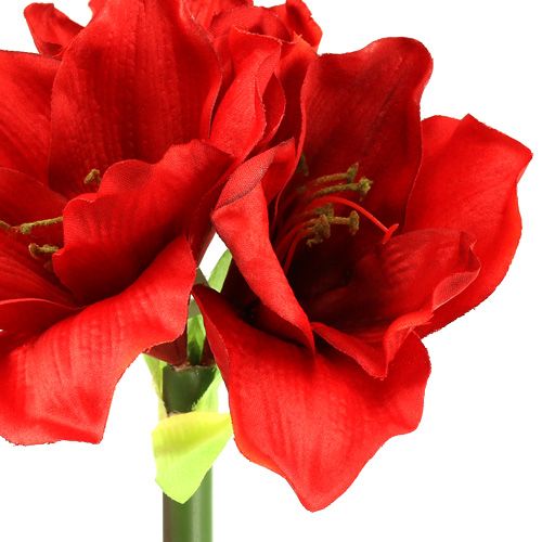 Floristik24 Amaryllis künstlich 60cm rot