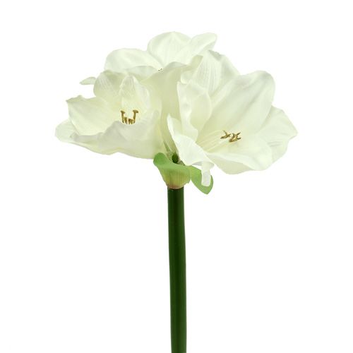 Floristik24 Amaryllis künstlich 60cm weiß