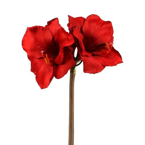 Floristik24 Amaryllis künstlich Groß rot 96,5cm