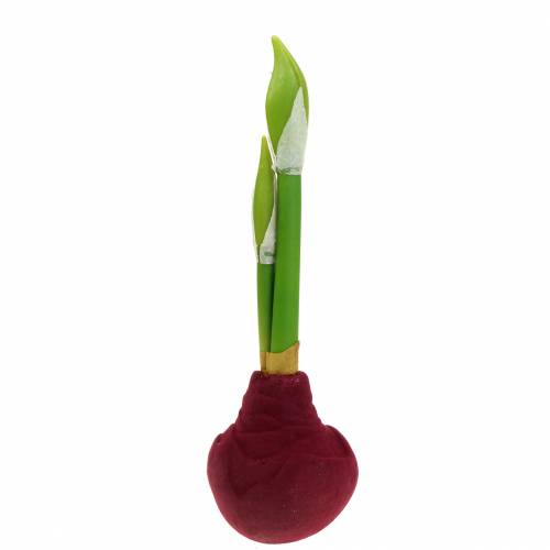 Floristik24 Amaryllis-Knolle mit Knospen Künstlich 30cm Burgund