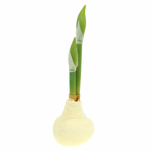 Floristik24 Amaryllis-Knolle mit Knospen Künstlich Weiß H30cm
