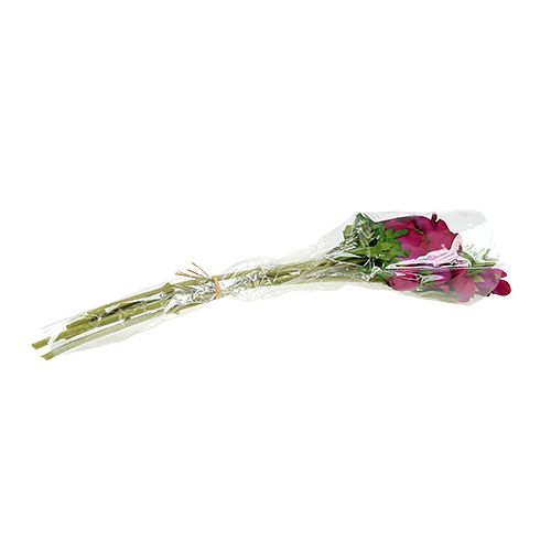 Floristik24 Anemone künstlich Fuchsia 6St