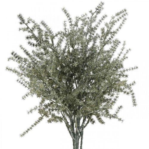 Floristik24 Asparagus Dekozweig Weiß gewaschen Künstlich 45cm 6St