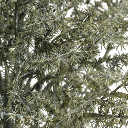 Floristik24 Lärche Dekozweig Weiß gewaschen Künstlich 45cm 6St