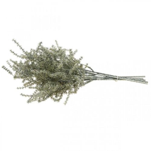 Floristik24 Lärche Dekozweig Weiß gewaschen Künstlich 45cm 6St