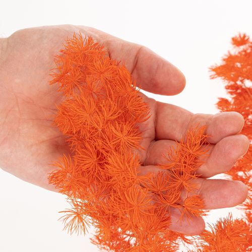 Trockenblumen Asparagus-Zweig 65 cm gefärbt Orange | Floristik24.at