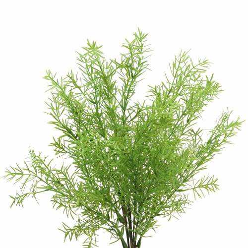 Floristik24 Asparagus Zierspargel künstlich Grün 46cm