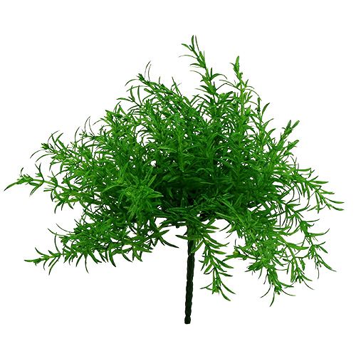 Floristik24 Asparagusbusch Grün 25cm