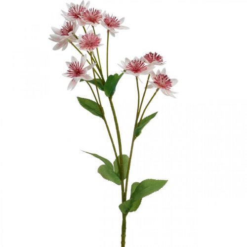 Floristik24 Große Sterndolde, künstliche Astrania, Seidenblume Weiß, Pink L61cm