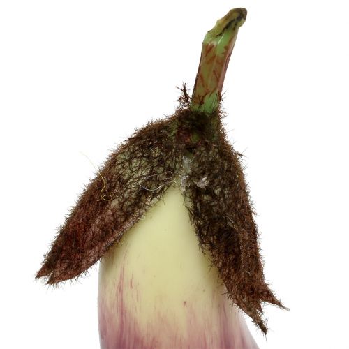 Floristik24 Aubergine 18,5cm Violett