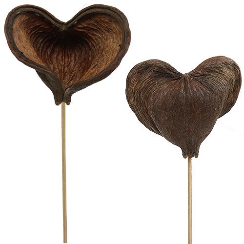 Artikel Badam am Stiel Natur 6cm - 12cm 23St