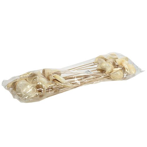 Floristik24 Badam am Stiel gebleicht 6cm - 12cm L55cm 23 St