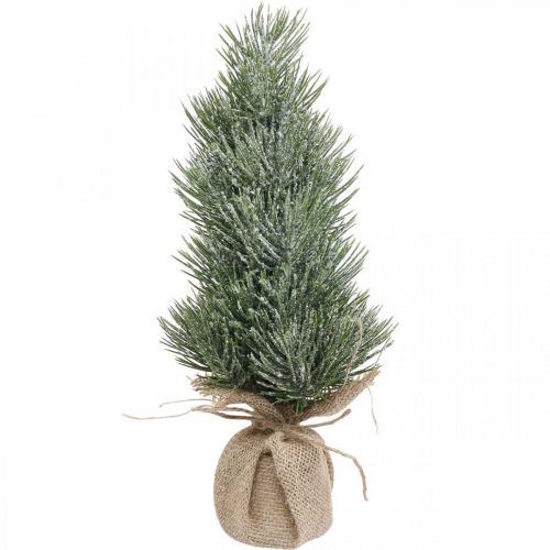 Floristik24 Mini Weihnachtsbaum künstlich im Sack Beschneit H33cm