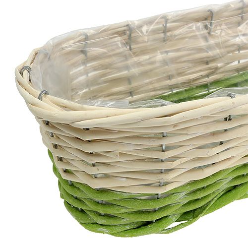 Floristik24 Balkonkasten oval 48x18cm H14cm Creme, Grün