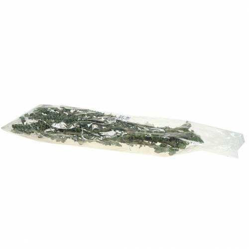 Artikel Banana Stem Dekoast Grün, weiß gewaschen 20 St