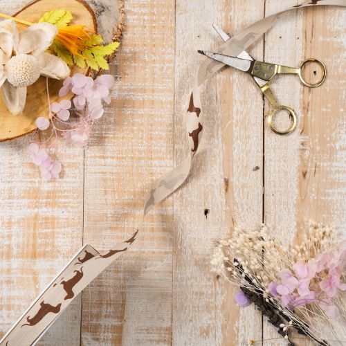 Geschenkband Dackelmotiv Creme Braun 15mm x 18m Aus Polyester für Innenbereich | Floristik24.at