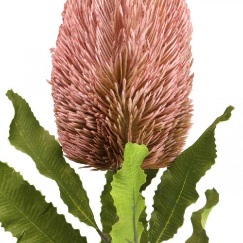 Kunstblume Banksia Rosa Herbstdeko Gedenkfloristik 64cm
