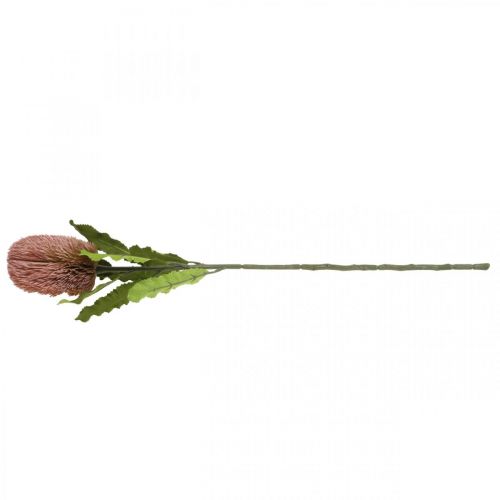 Artikel Kunstblume Banksia Rosa Herbstdeko Gedenkfloristik 64cm