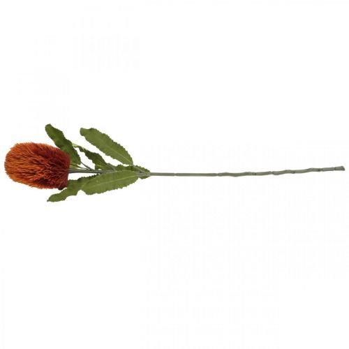 Artikel Kunstblume Banksia Orange Herbstdeko Trauerfloristik 64cm