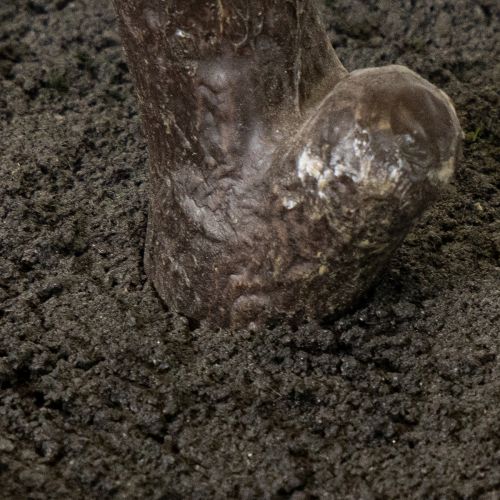 Künstlicher Baum aus Kunststoff und Seide 120 cm für den Innenbereich | Floristik24.at