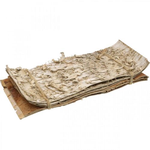 Floristik24 Baumrinde Deko Rinde Streifen Birkenrinde Natur 30×12cm 6St