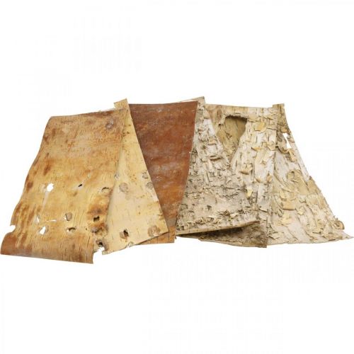 Floristik24 Baumrinde Deko Rinde Streifen Birkenrinde Natur 30×12cm 6 St