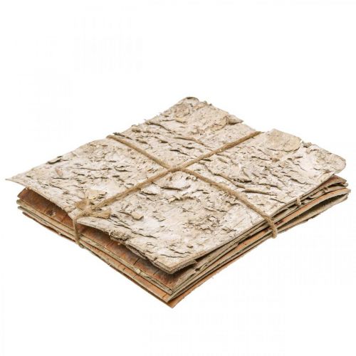 Floristik24 Baumrinde Deko Rinde quadratisch Birkenrinde Natur 20×20cm 6 St