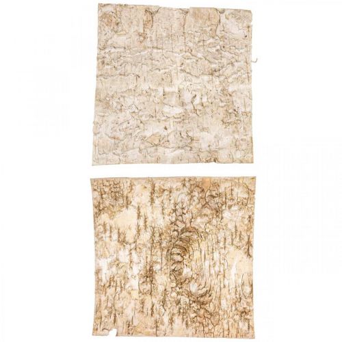 Floristik24 Baumrinde Deko Rinde quadratisch Birkenrinde Natur 20×20cm 6 St