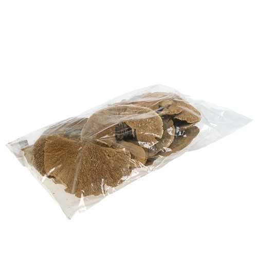 Floristik24 Baumschwamm Natur 500g