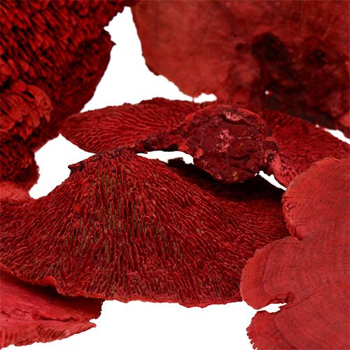 Floristik24 Baumschwamm Rot 1kg