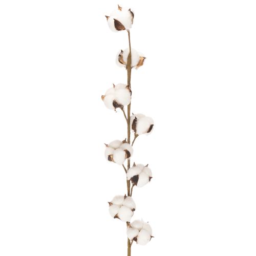 Künstlicher Baumwollzweig mit echten Baumwollblüten 78cm Braun-Weiß