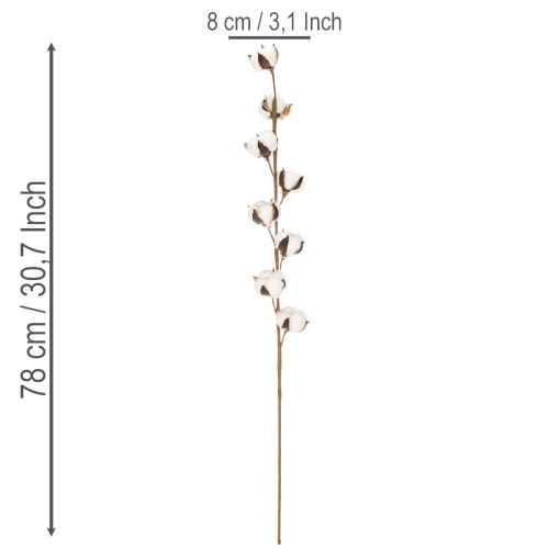 Künstlicher Baumwollzweig mit echten Baumwollblüten 78cm Braun-Weiß | Floristik24.at