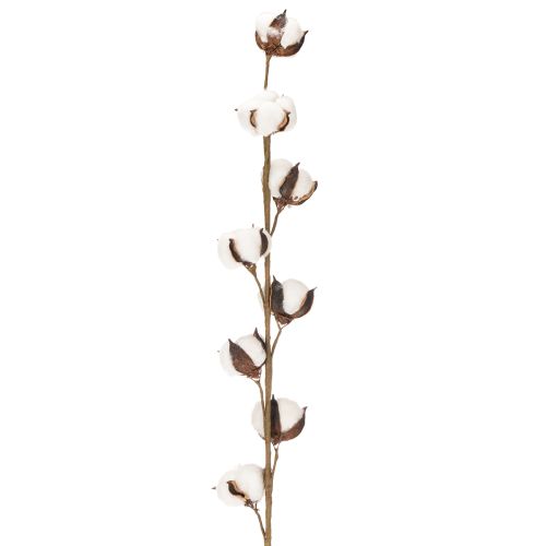 Künstlicher Baumwollzweig mit echten Baumwollblüten 78cm Braun-Weiß | Floristik24.at