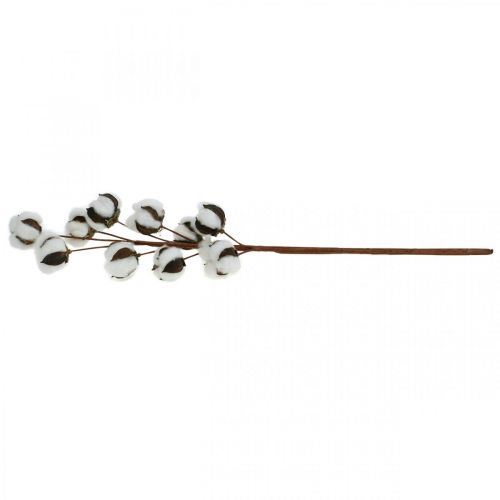 Floristik24 Baumwollzweig Naturdeko 10 Köpfe am Draht Baumwolle Deko 68cm