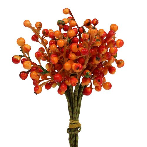 Beerenbund Orange L20cm