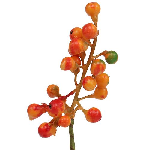 Beerenbund Orange L20cm