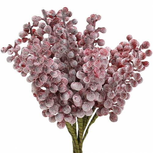 Beerenpick Rot, geeist 21cm 12St
