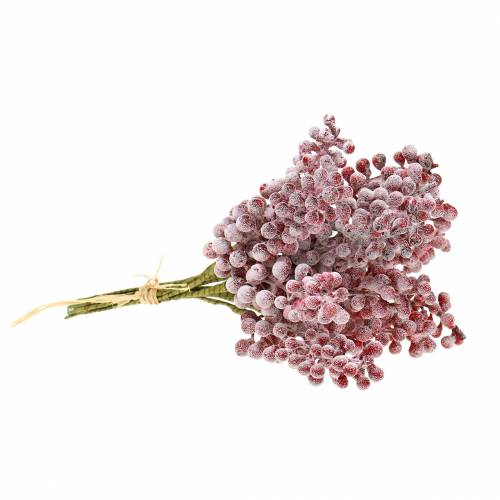 Floristik24 Beerenpick Rot, geeist 21cm 12 St