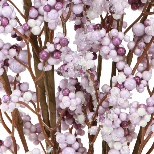 Floristik24 Beerenzweig Weihnachtszweig Lila Weiß Frost L60cm 2 St
