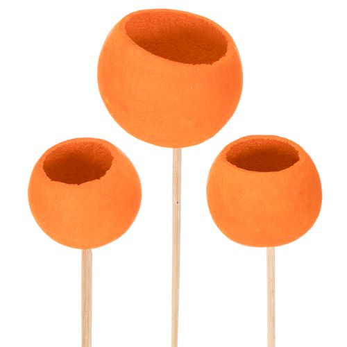 Bell Cup Mix auf Holzstab Orange Ø 3–5,5 cm, 15 Stück bestellen | Floristik24.at
