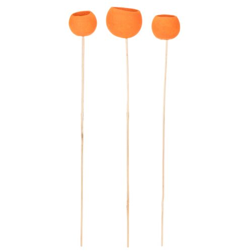 Bell Cup Mix auf Holzstab Orange Ø 3–5,5 cm, 15 Stück | Floristik24.at