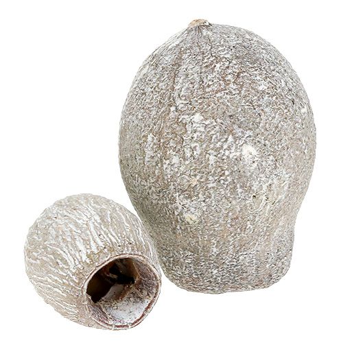 Artikel Bellgums weißgewaschen 2cm - 5cm 500g